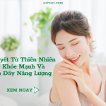 Bí Quyết Từ Thiên Nhiên Để Khỏe Mạnh Và Tràn Đầy Năng Lượng