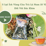 5 Lợi Ích Vàng Của Trà Lá Nam 10 Vị Đối Với Sức Khỏe