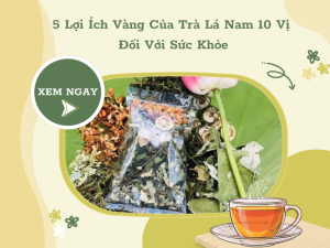 5 Lợi Ích Vàng Của Trà Lá Nam 10 Vị Đối Với Sức Khỏe