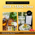 MUA 1 TẶNG 1 TRÀ LÁ NAM 10 VỊ TÂM AN