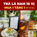 mua 1 tặng 1 trà lá nam 10 vị tâm an chính hãng