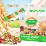 sua-hat-thuan-chay-36-loai-hat-3